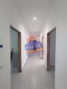 137 Mattioli